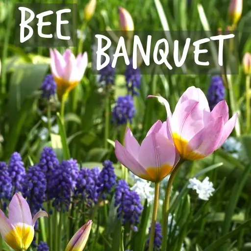 Natural Bulbs | Bee Friendly packs