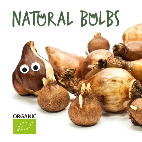 Organic flower bulbs & garden plants I Natural Bulbs