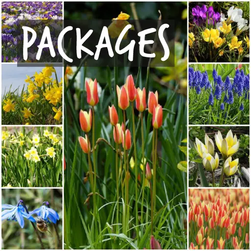 Organic Flower Bulb Assortments