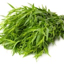 Franse Dragon - BIO