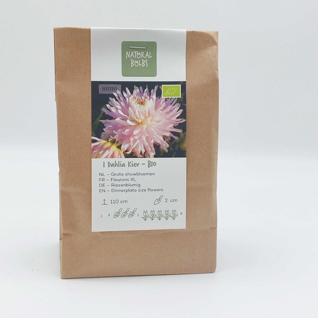 Dahlia Kiev - BIO