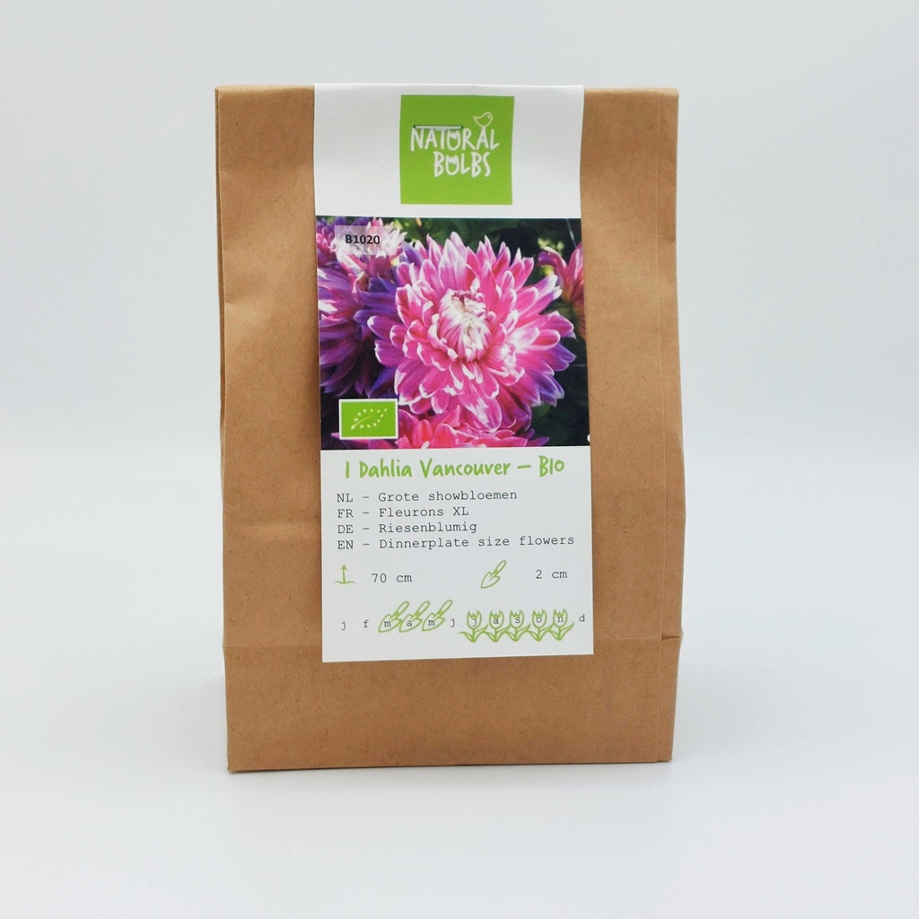 Dahlia Vancouver - BIO
