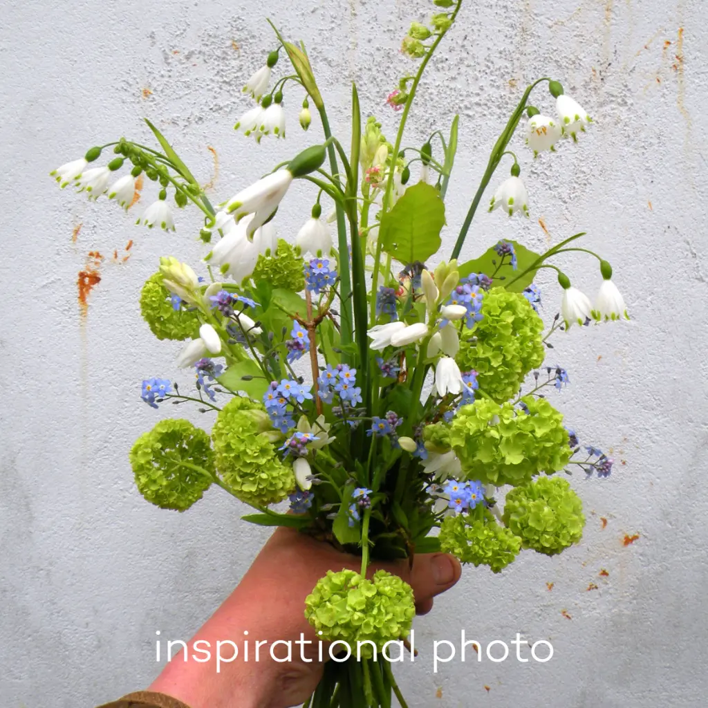 inspiratiefoto marieke nolsen AC99084.webp