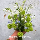 inspiratiefoto marieke nolsen AC99084.webp