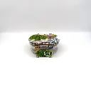 kweekset - Kiemgroente - BIO