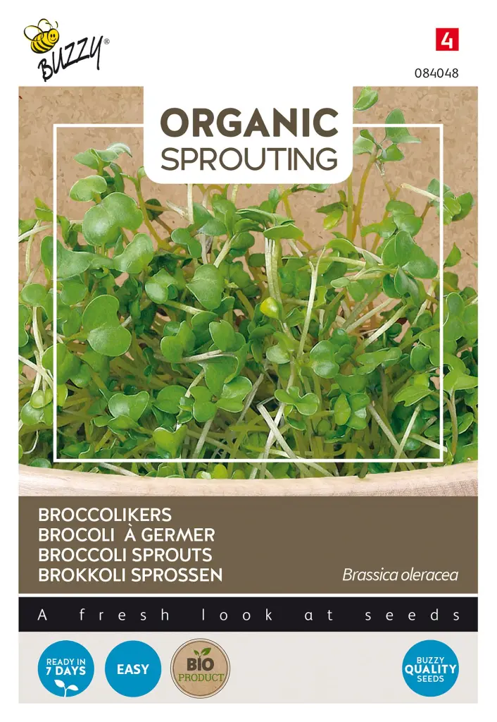 Broccolikers - Sprossen - Kiemgroente - BIO