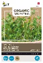 Broccolikers - Sprossen - Kiemgroente - BIO