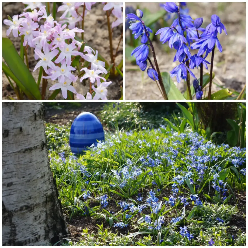 Starry Sky Bee Banquet - ORG