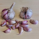 Garlic Morado - ORG 