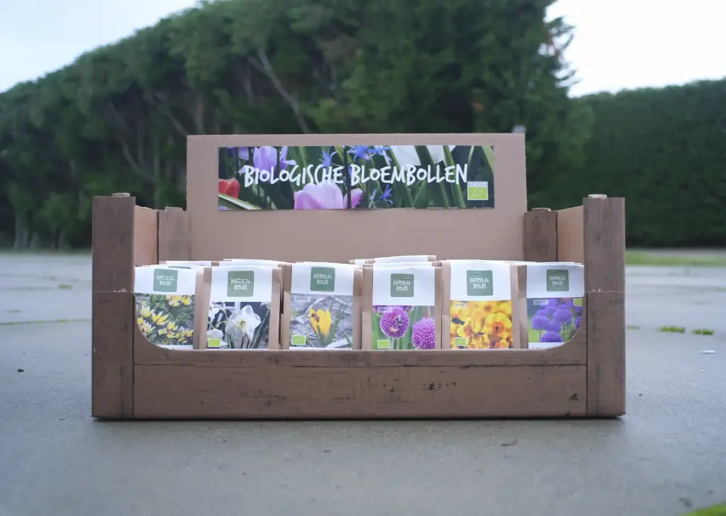 Autumn Sale ASSORTED 36pk - ORG