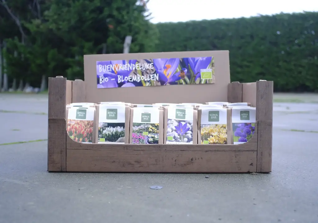 Autumn sale BEE FRIENDLY 36 packs- ORG