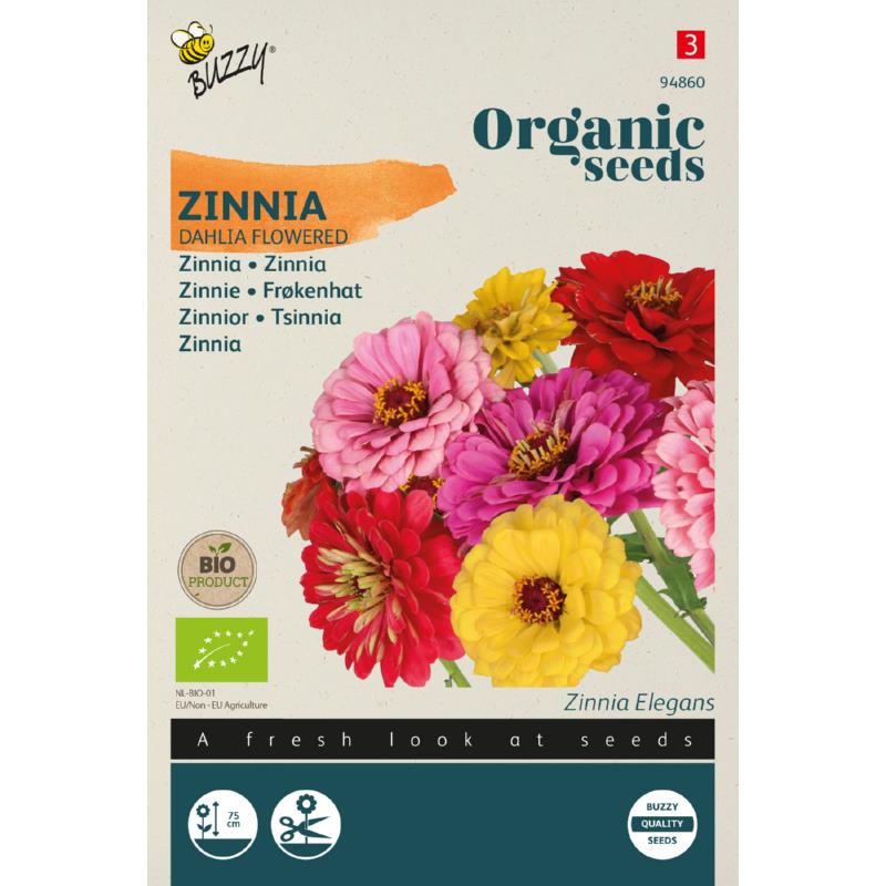 Zinnia Dahlia flowered - ORG