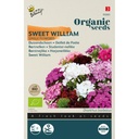 Organic Sweet William Single flowered, mixed - ORG