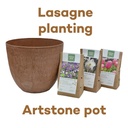 Bulb Lasagne with Artstone pot Oak - ORG