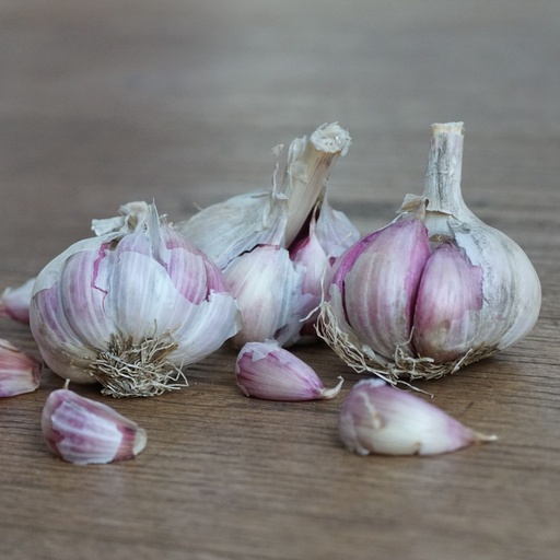 [A9060-150G] Garlic Morado - ORG  (150g)