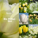Marieke's organic bulb mix yellow/white 2 m2 - ORG