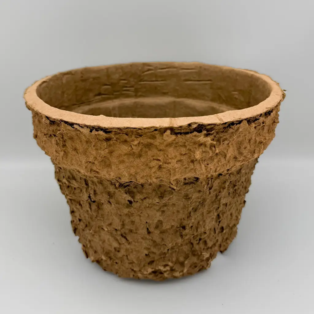 Natural Collection plant pot Carline 5L