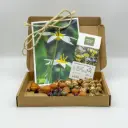 Giftbox Mix for naturalising - ORG