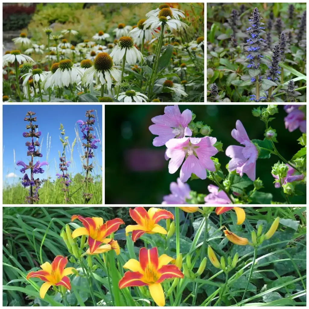 Edible Perennial Garden - ORG