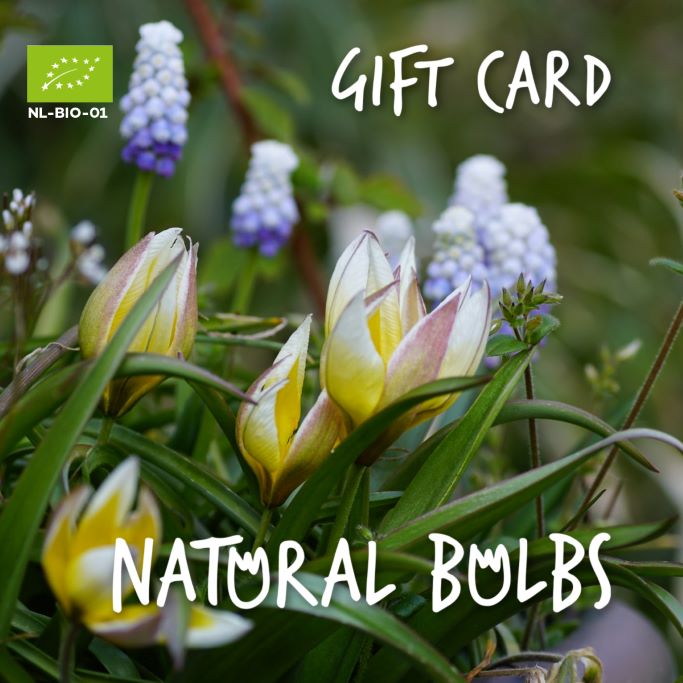 Gift Card €50