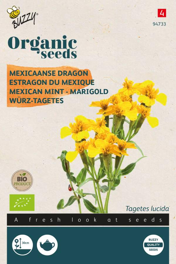 Tagetes Lucida, Mexican Mint - ORG