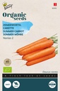 Summer carrot Nantes 2 - ORG