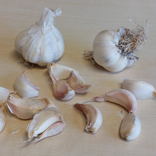 [A9066] Garlic Vallelado - ORG
