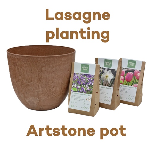 [AC99076] Bulb Lasagne with Artstone pot Oak - ORG