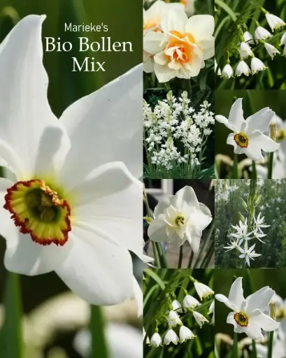 [AC99084] Marieke's organic bulb mix 2 m2 - ORG