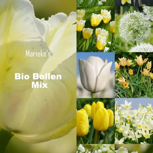 [AC99088] Marieke's organic bulb mix yellow/white 2 m2 - ORG