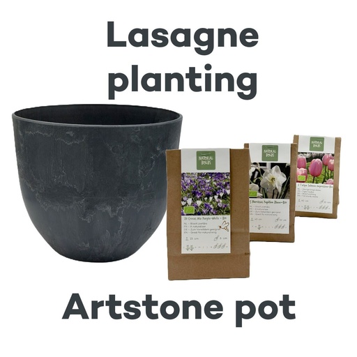 [AC99093] Bulb Lasagne with Artstone pot Gris - ORG