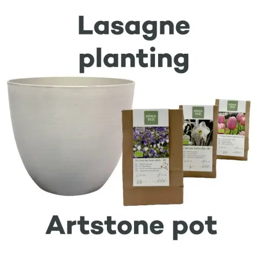 [AC99095] Bulb Lasagne with Artstone pot Cloudy - ORG