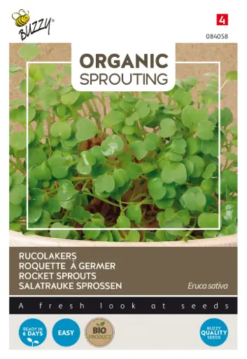[Buzzy-084058] Arugula cress - Sprouts - ORG
