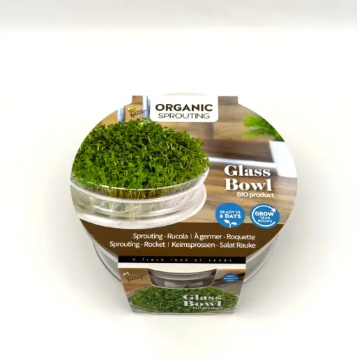 [Buzzy-085387] Arugula sprout kit - Sprouts - ORG