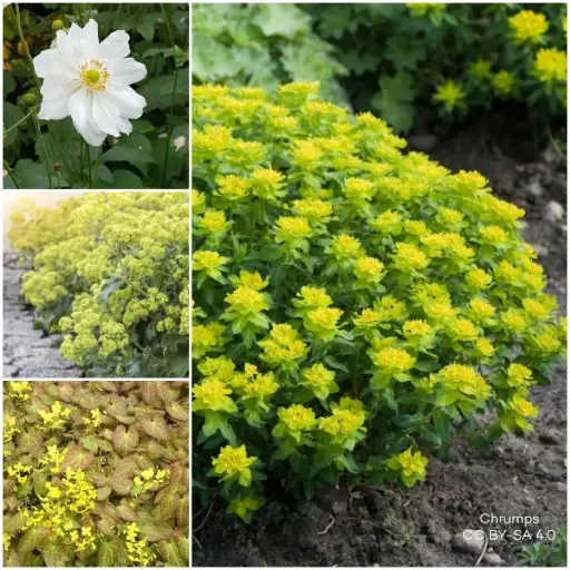 [B7904] Tile Remover Garden Bed Kit shadow 1 m² - ORG