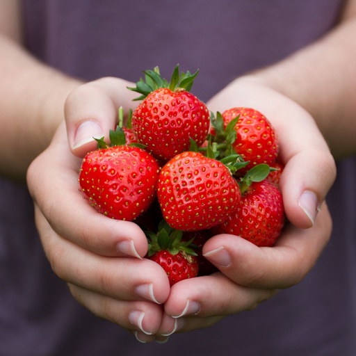 [B8074-Moeder] Happy Strawberries Mama - ORG