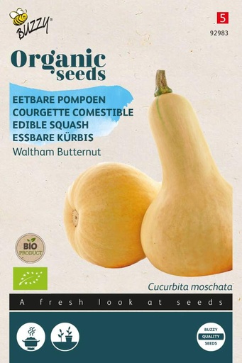 [Buzzy-92983] Edible Squash Waltham Butternut - ORG