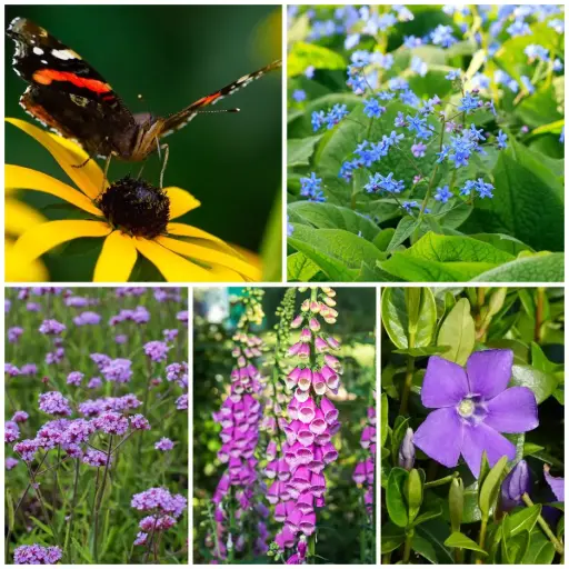 [B8902] Cool Corner Perennial Garden - ORG